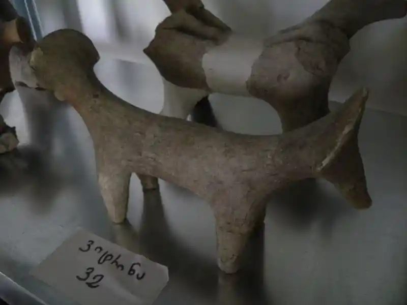 Double-headed animal